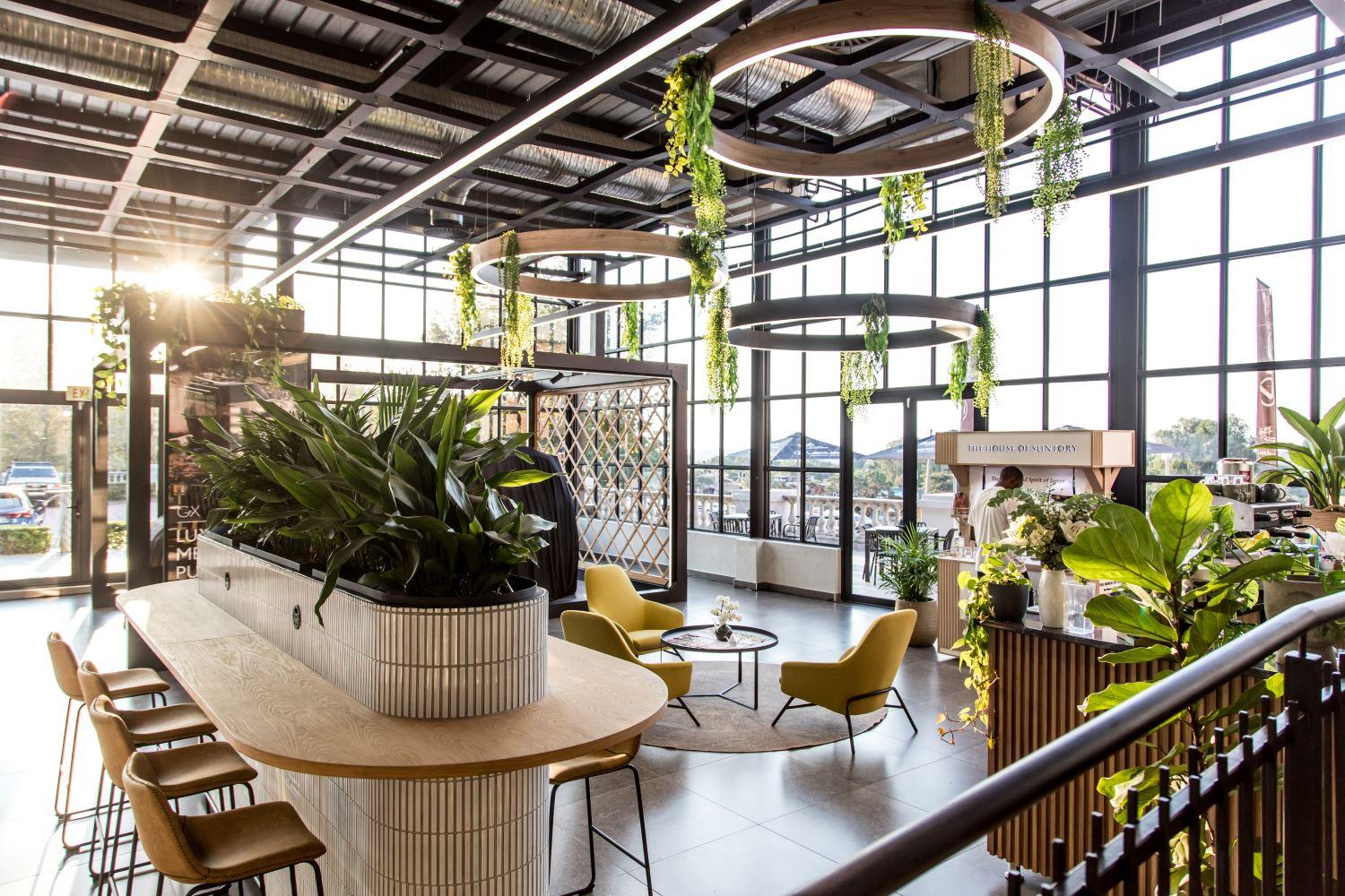 25 Lexus Lynn2