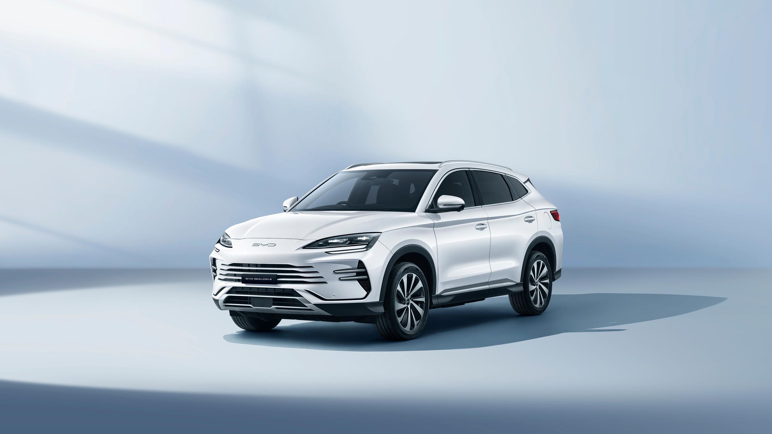 25 New BYD6
