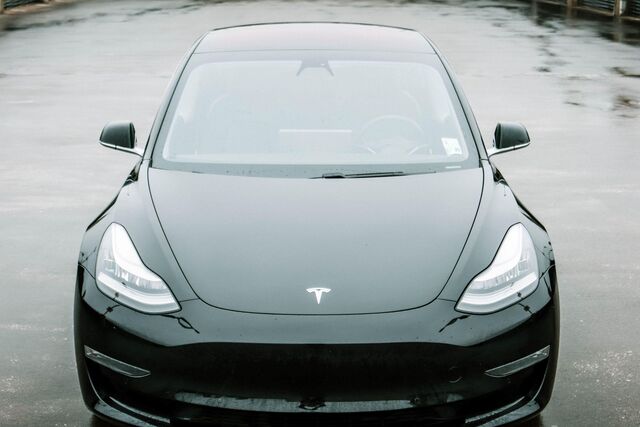 Riaan Tesla Steer1