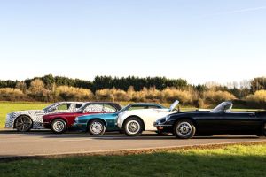 26 Jaguar Roar1